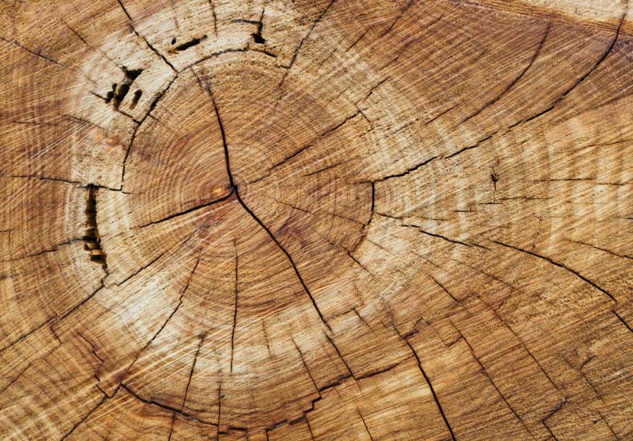 Tipos de madera naturales y sus usos
